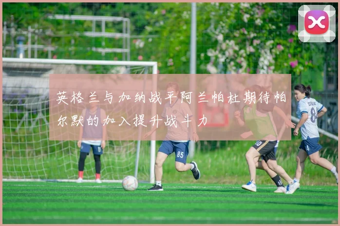 英格兰与加纳战平阿兰帕杜期待帕尔默的加入提升战斗力