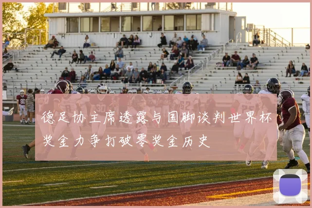 德足协主席透露与国脚谈判世界杯奖金力争打破零奖金历史
