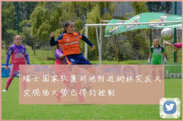 瑞士国家队集训地附近树林突发火灾现场火势已得到控制